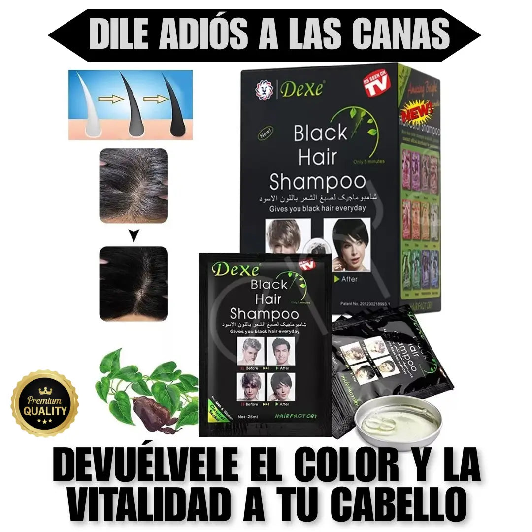 SHAMPOO CUBRE CANAS DEXE NEGRO