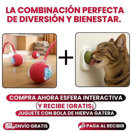 Juguete Interactivo Para Mascotas ActivePet®Diversión y Estimulación para tu Compañero✅