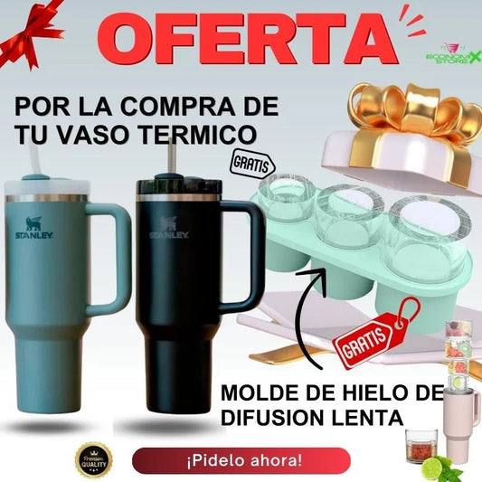 Vaso térmico + Molde de difusión Lenta - Economix